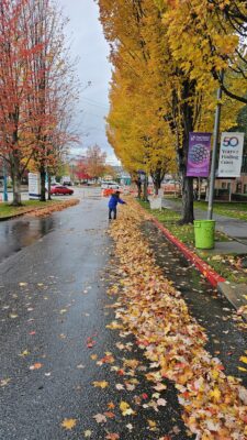 Malone's Maintenance Crew picking up leaves